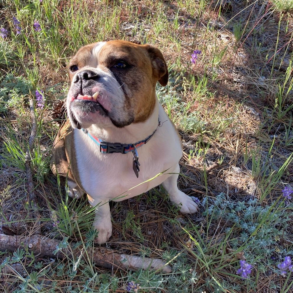 Meet your Posher, Cassie